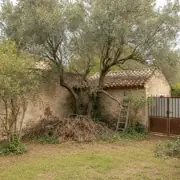 Élagage et abattage d'arbres à Fontvieille
