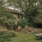 Élagage et abattage d'arbres à Tarascon